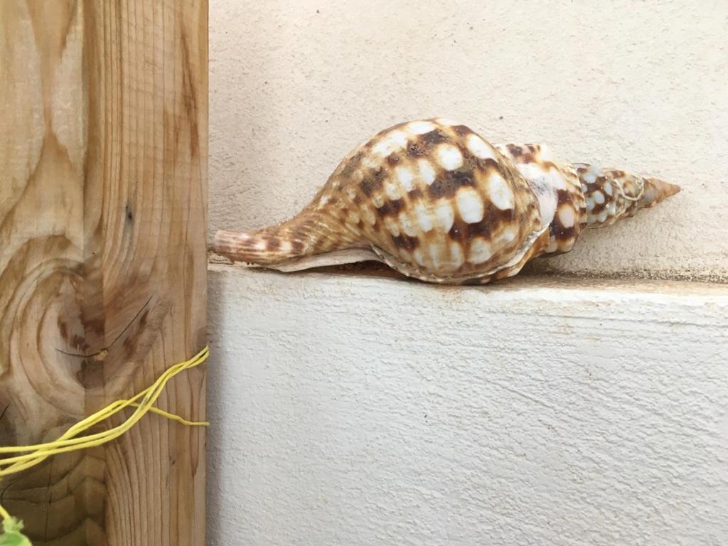 קוסטה דל סילנסיו Cozy Bungalow מראה חיצוני תמונה